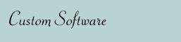 Custom Software

