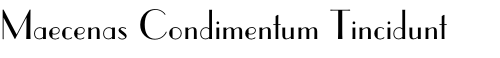 Maecenas Condimentum Tincidunt 
