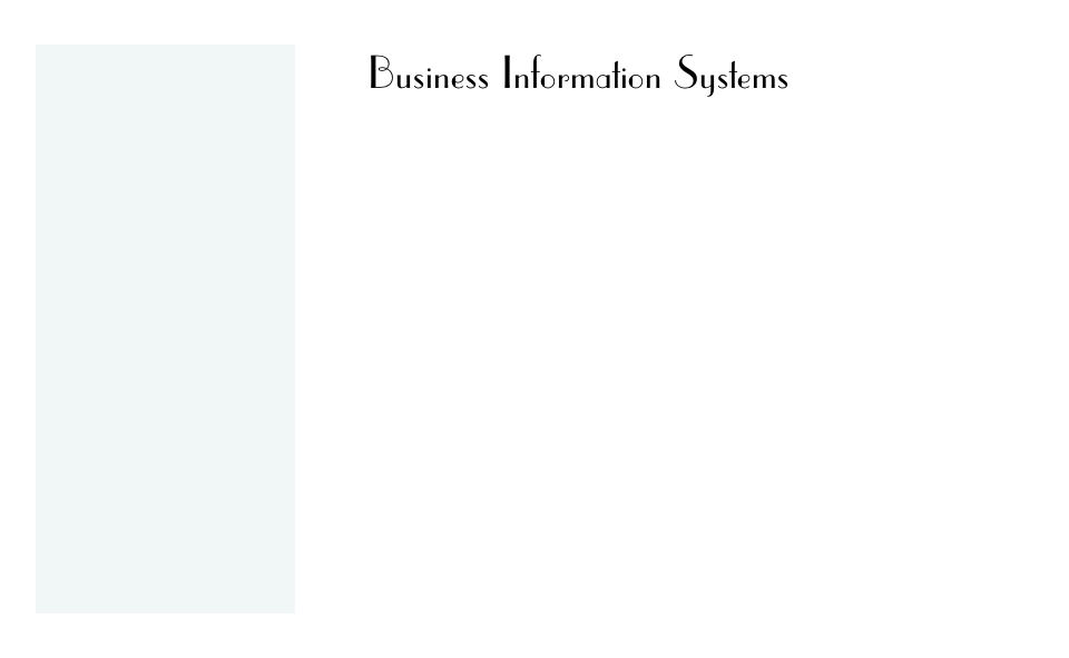 Business Information Systems 
